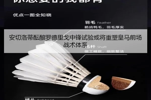 安切洛蒂酝酿罗德里戈中锋试验或将重塑皇马前场战术体系