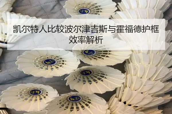 凯尔特人比较波尔津吉斯与霍福德护框效率解析