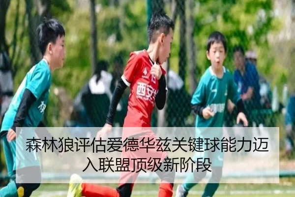 森林狼评估爱德华兹关键球能力迈入联盟顶级新阶段